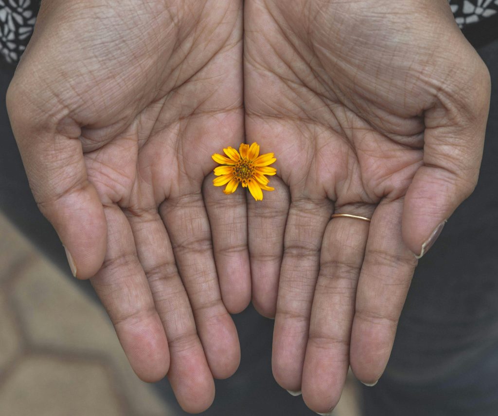 Hands holding a flower. Photo by Sreenadh Tc on Unsplash